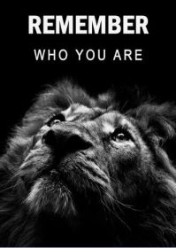Black Lions Letter Inspiration Art Canvas Painting (Option: No Frame-60x80cm)